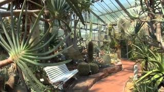 preview picture of video 'Neuer Botanischer Garten Marburg'