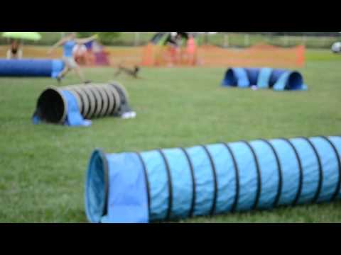 Monori Móka 2017.08.05. Niru 1