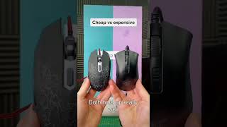 Cheap vs expensive gaming mouse insane result