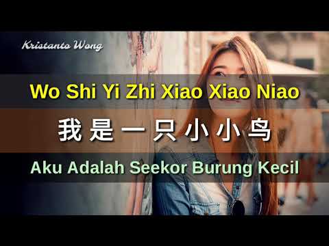 Wo Shi Yi Zhi Xiao Xiao Niao 我是一隻小小鳥 - Lei Ting 雷婷 (Aku Adalah Seekor Burung Kecil)
