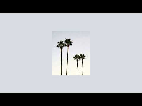 Funky Pop Disco Guitar Type Beat ''Palm Trees''