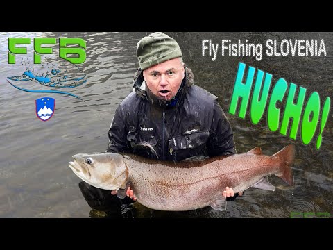 Winter Hucho Salmon flyfishing in Europe - Monster landed!