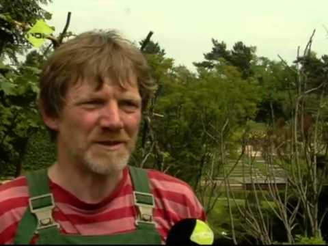 TIDE TV - Stipvisite Klein Flottbek & Othmarschen