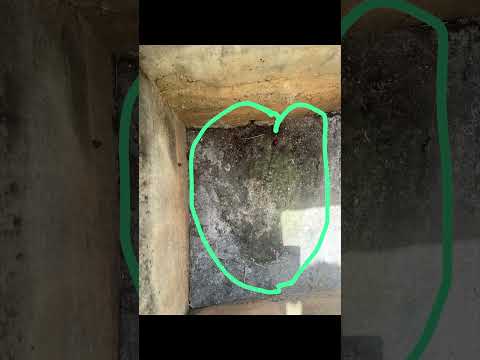 Tomb Of Prophet Ayub A.S || Salalah City || Oman 🇴🇲 || #prophetayub #nabi #shorts #oman #salalah