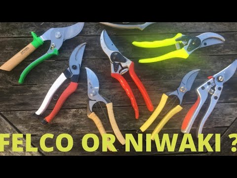 FELCO OR NIWAKI ? | Huge Laurel reduction 1 year on | HOW TO PRUNE LARGE OVERGROWN SHRUBS