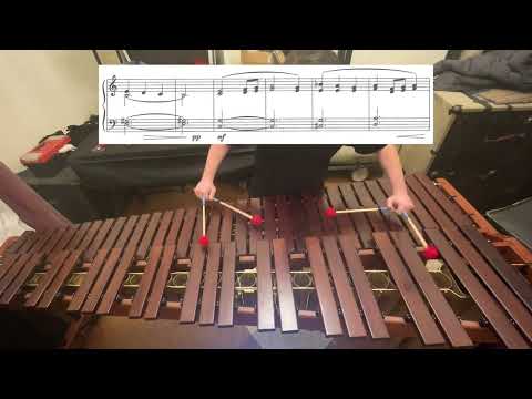 Nebojsa Jovan Zivkovic - Ein Liebeslied?