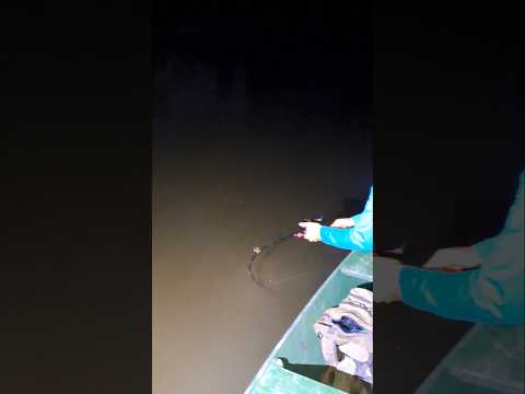 O peixe fes o que quis ! era muito forte !