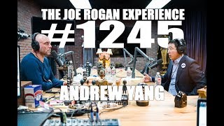 Joe Rogan Experience #1245 - Andrew Yang