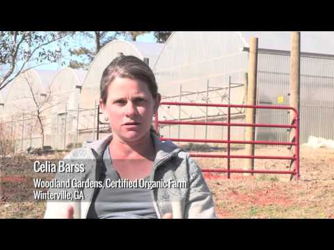 Organic Sound and Sensible Project -  Examples of Types of Records