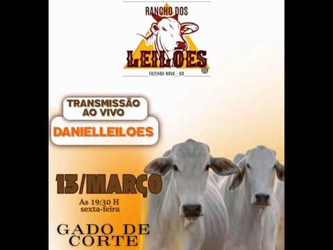 Fazenda Nova - GO   13/03/2026