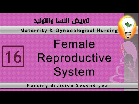 Maternity Nursing 1 Female reproductive system part 1 الجهاز التناسلي الأنثوي