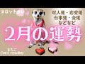 【2月あなたに起こる事❤🍫🎁】対人運・恋愛運・仕事運・金運等🌟【月間リーディング】