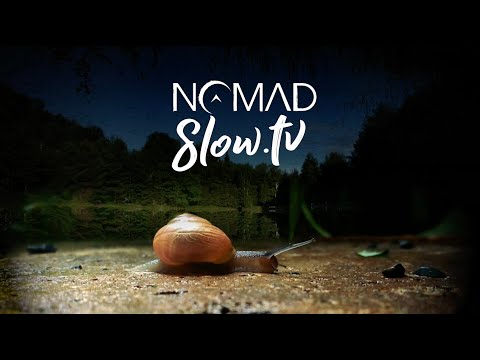 NOMADlife.tv