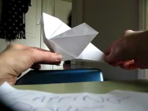 FLAPPING DOVE .AVI