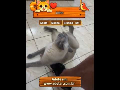 Vídeo de John