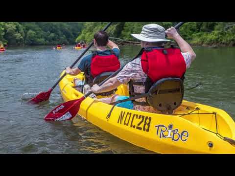 Sit In vs Sit On Kayak: What’s the Difference?
