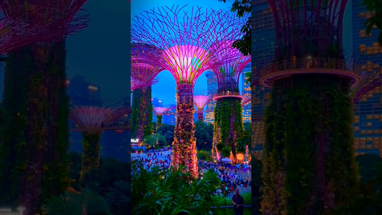 YouTube Short thumbnail