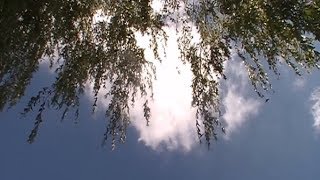 Virginia Wing - Eight Hours Don&#39;t Make A Day (Official Video)