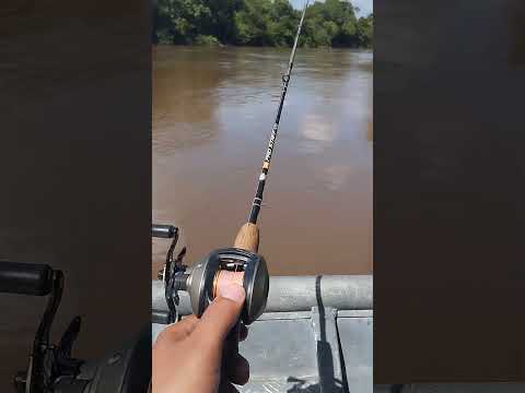 Resenha top com meu grande amigo hostreval ,em Loreto -MA 🎣