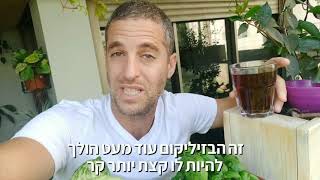 טיפ קטן לדישון וחיזוק צמחי התבלין לפני החורף