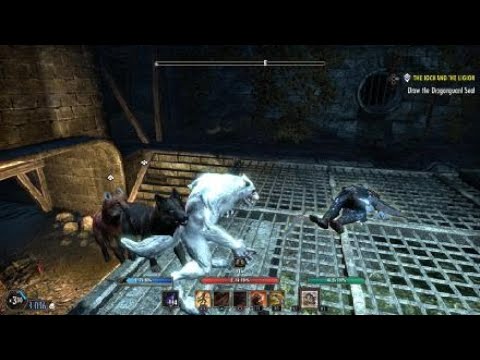ESO no cp Imperial serwers Lonely werewolf (lvl 22 Wood elf)9/9/21