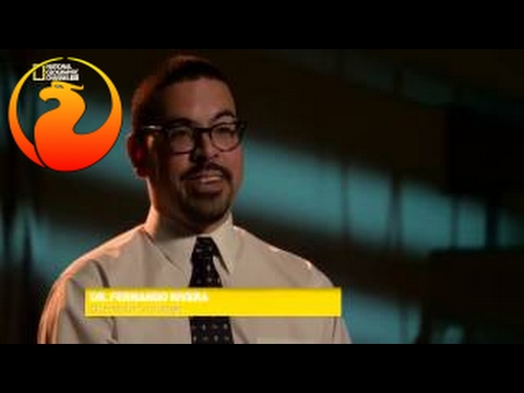 ️ ️ Flucht ins All: Die Evakuierung der ganzen Menscheit ins All Doku Chanel-germany