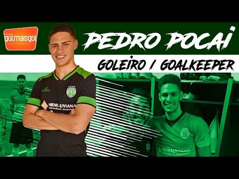 Pedro Pocai