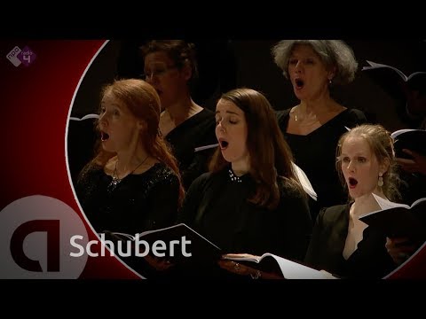 Schubert: Stabat Mater D.383 - Maartje Rammeloo, Fabio Trumpy, André Morsch - Live Classical Music