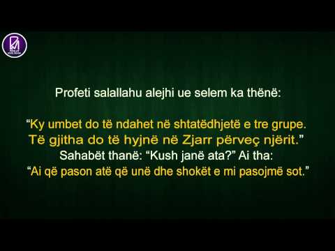 Selefizmi është parimi - Feuzan