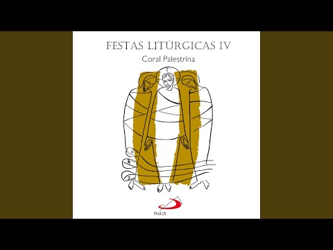 BEM AVENTURADOS OS QUE TÊM UM CORAÇÃO DE POBRE (4º Domingo - Ano A, B e C, 6º Domingo - Ano C, Todos os Santos e Finados) - CATÓLICA