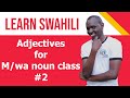 SWAHILI ADJECTIVES FOR M/WA noun class #2