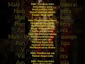 Veera Raja Veera Song Lyrics