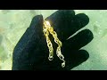 Denizde Dedektörle Tektekcilik Yaptım.define.gold search on the beach.metal detected.gold signal Denizde Dedektörle Tektekcilik Yaptım.define.gold search on the beach.metal detected.gold signal