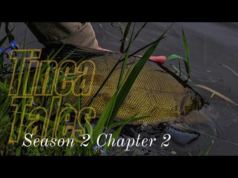 Tinca Tales | Season 2 Chapter 2 | 'RED LETTER DAY' on an Old Estate Lake | EPIC Tench Fishing