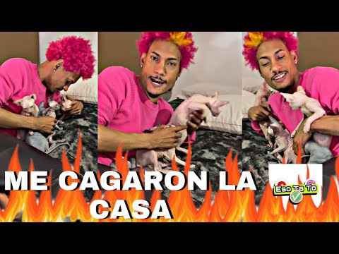 KIKO EL CRAZY Vendiendo Gatos \ Braulio Fogon Conta EL FOTHER