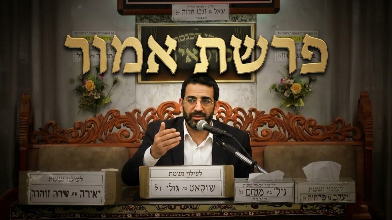 הרב אלון עטיה | פרשת אמור איך להכניס קדושה לחיים האישיים?