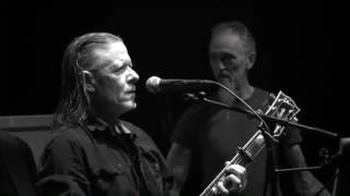 Swans - A Little God In My Hands (live)