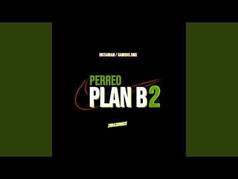 PERREO PLAN B 2