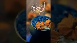 صورة تلاوة من سورة الإنسان