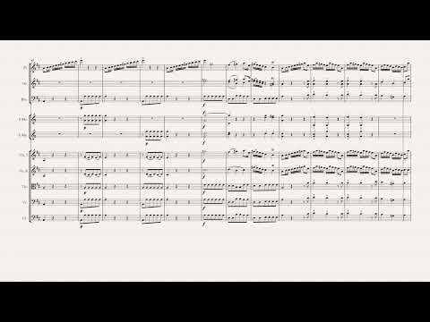 Haydn Symphony No.31 Hob. I- 31( Mit dem Hornsignal)  NOTE PERFORMER 3 & Sibelius8