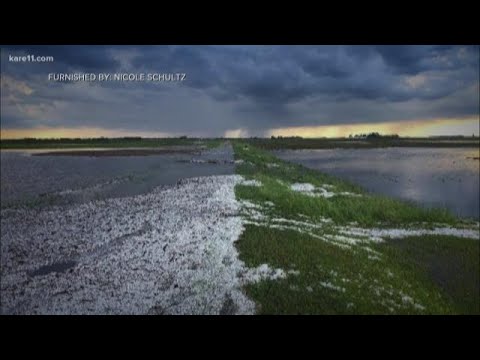 Digital Dive: Tornado, hail slams part of MN