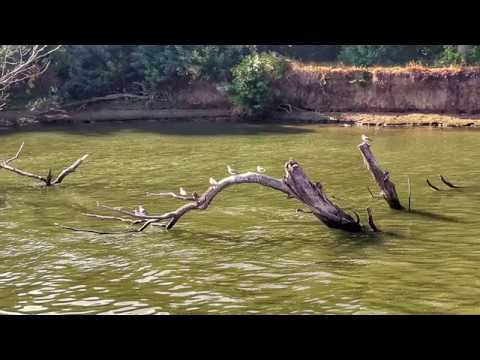 Romania - medieval towns, Danube delta, & folk songs