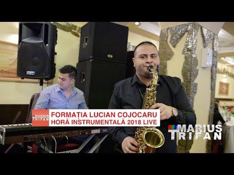 Formatia Lucian Cojocaru - Hora Instrumentala 2018 LIVE * NOU *