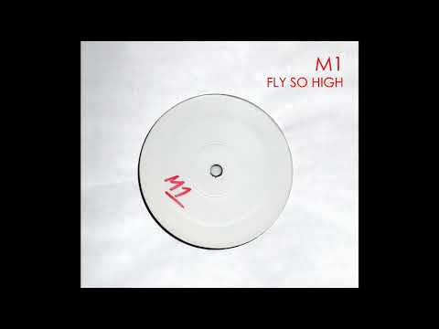 M1 - Fly So High