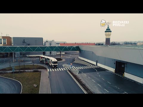 Náhled pro video reference