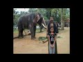 Sabarmalai Yathra 2012 Videos Part 4