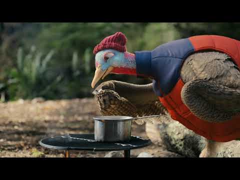 Chantix - Camping (2019, USA)