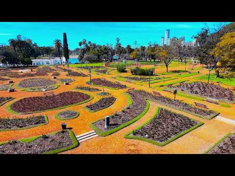 VOLANDO POR LA CIUDAD DE BUENOS AIRES