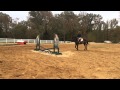 SOLD Contemporary Art Jumping With Student Second Chance Thoroughbreds