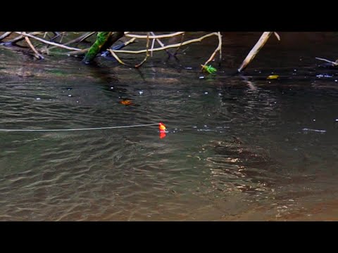 King Salmon Bobber Downs and Spinner Strikes - HOW I GET THEM TO BITE